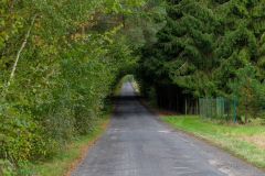 DSCF6766.jpg