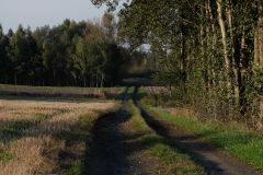 DSCF6837.jpg