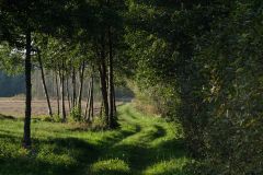DSCF6844.jpg