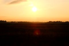 DSCF6849.jpg