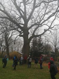 IMG_20251108_090133.jpg