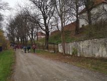IMG_20251108_112623.jpg