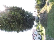 DSCN4845.JPG