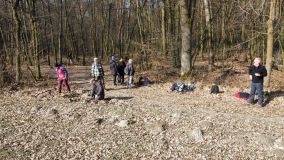 IMG-20250308-WA0017.jpg